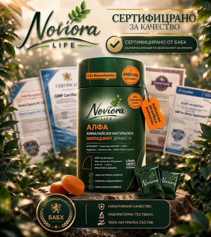 Noviora Life -  Естествена подкрепа за енергия и издръжливост